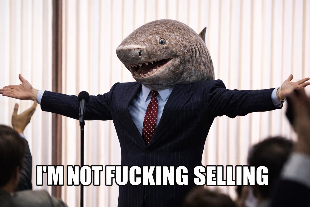 rval888's tweet image. $SHARK to aths