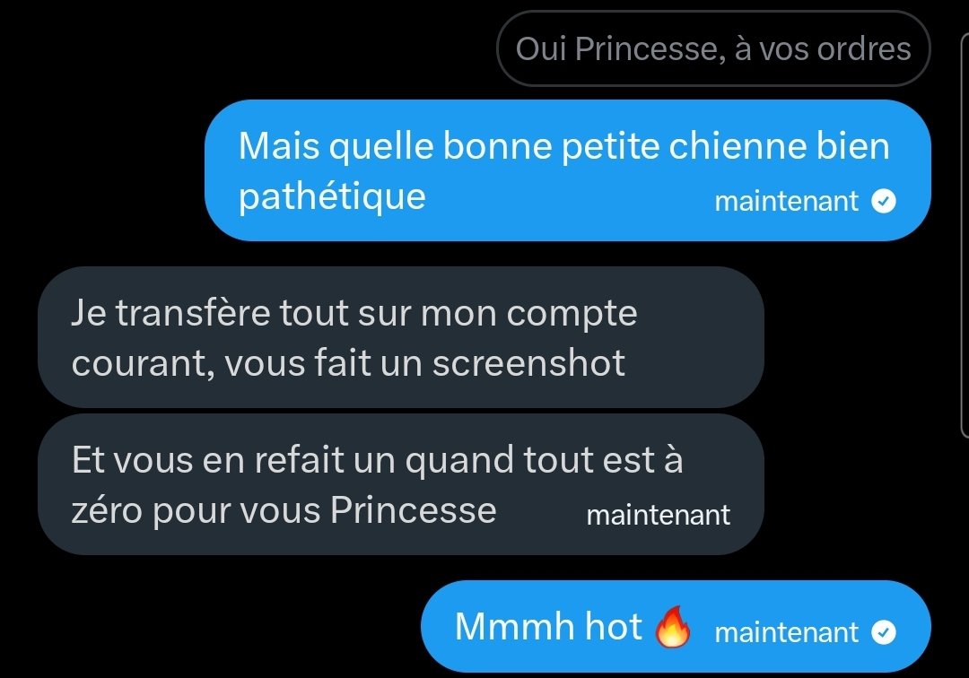 PrincesseIvvi_'s tweet photo. Le genre de bon looser que j'aime 🤭👸🏻

Une bonne grosse dépouille pour cette chienne qui a eu l'honneur de me donner jusqu'au moindre dernier centime de son compte. Je sais qu'il mouille dans sa cage à la vue du 0 sur son compte ���👑💸 
#moneyslave 
@Brun0Parent 
@rt_feet https://t.co/8nxQ5s5FeD