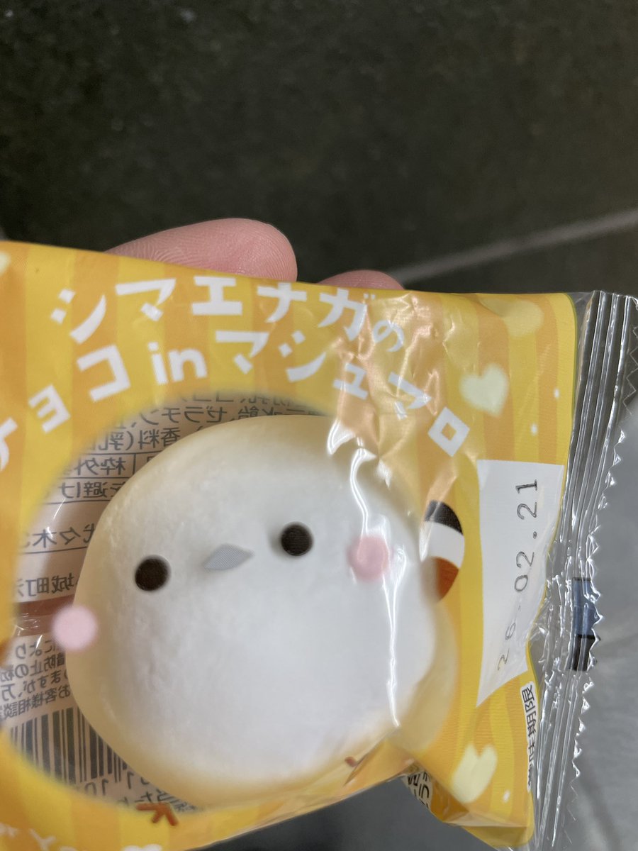 achon66's tweet photo. かつて一緒に活動していたみさっきーにコーラス的な発声の基礎を教えていただき、その後飲みしばいて参った🍻
めっちゃ勉強になったし、からだの使い方が今心がけているドラムプレイと共通しまくっているので、次回ライブからバチバチに意識していきたい所存🔥🔥🔥
楽しかった〜🥰 https://t.co/3TVbDZSIN6