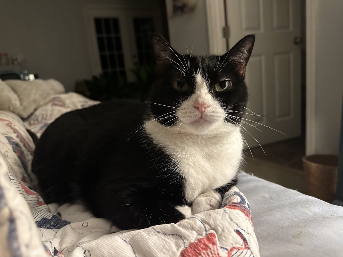 Patrick Skinner tweet media