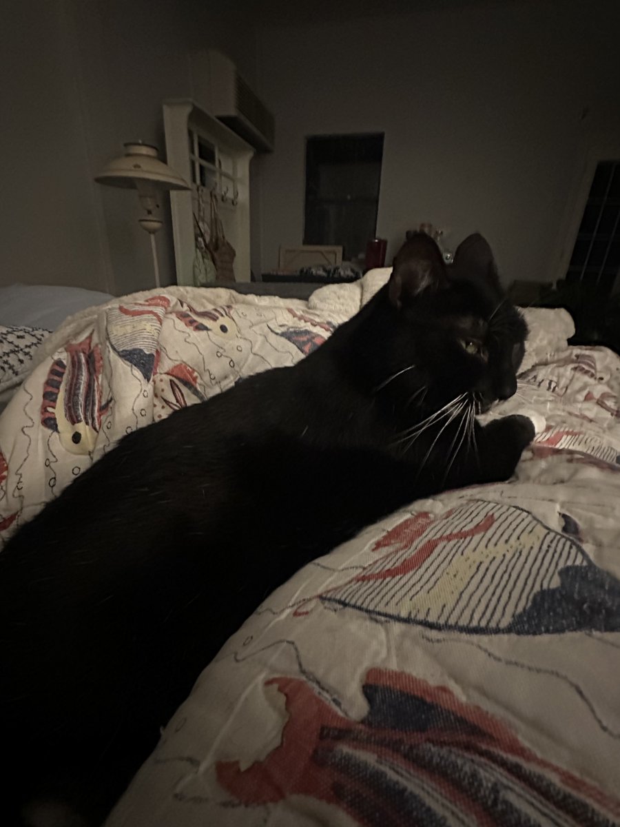 Patrick Skinner tweet media