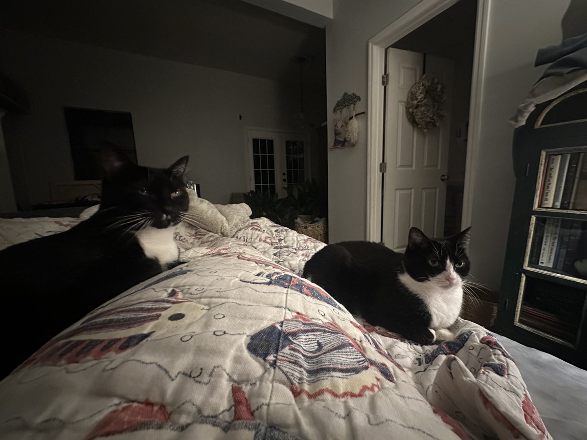 Patrick Skinner tweet media