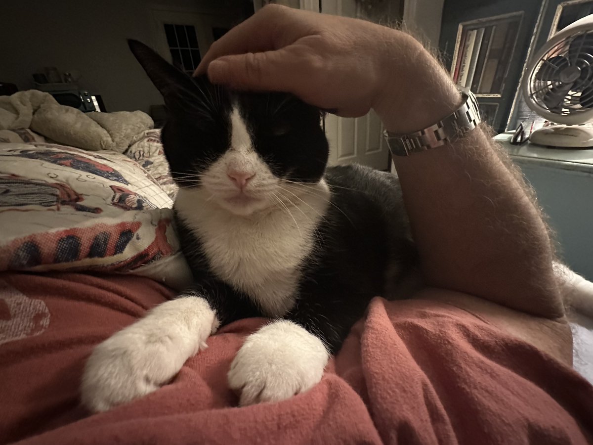 Patrick Skinner tweet media