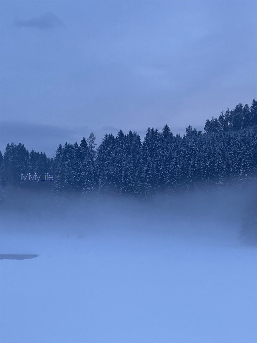 ManuelaMravlak's tweet photo. It's getting foggier and foggier, what a blessing…🤍
#NaturePhotography #Austria 🇦🇹
@StormHour @ThePhotoHour #Fog 🌫️
#SundayFeeling #SundayBlue 💎 https://t.co/9uNvWrqnlX