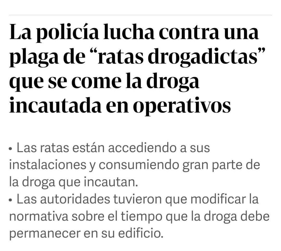 Estoy llorando de la risa con esta noticia. 

El perro se ha comido mis deberes, versión droga y maderos