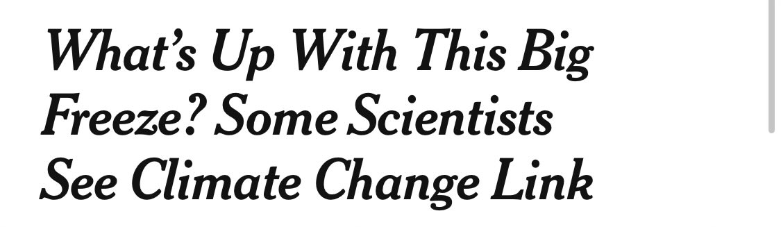 David Zweig tweet media