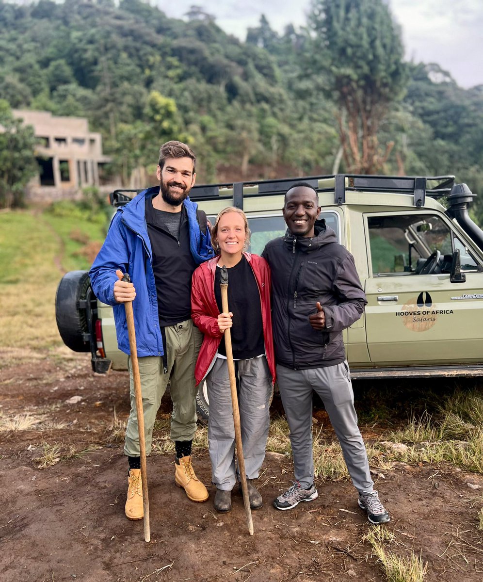 HoovesofAfrica's tweet photo. On Going Safari
15 days safari inclusive of Volcanoes park, Bwindi, Ishasha, Queen Elizabeth, Kibale and Murchison falls park!
We start off with Volcanoes the home of mountain gorillas and golden monkeys.
#goldenmonkey #gorillatrekking #gorillahabituation https://t.co/sAE8MVT9Bq