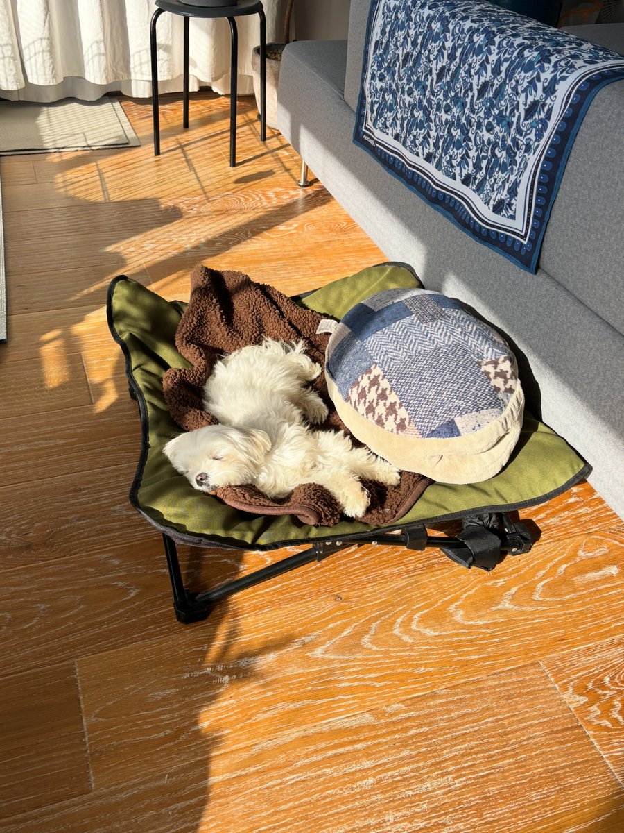 もじゅ tweet media