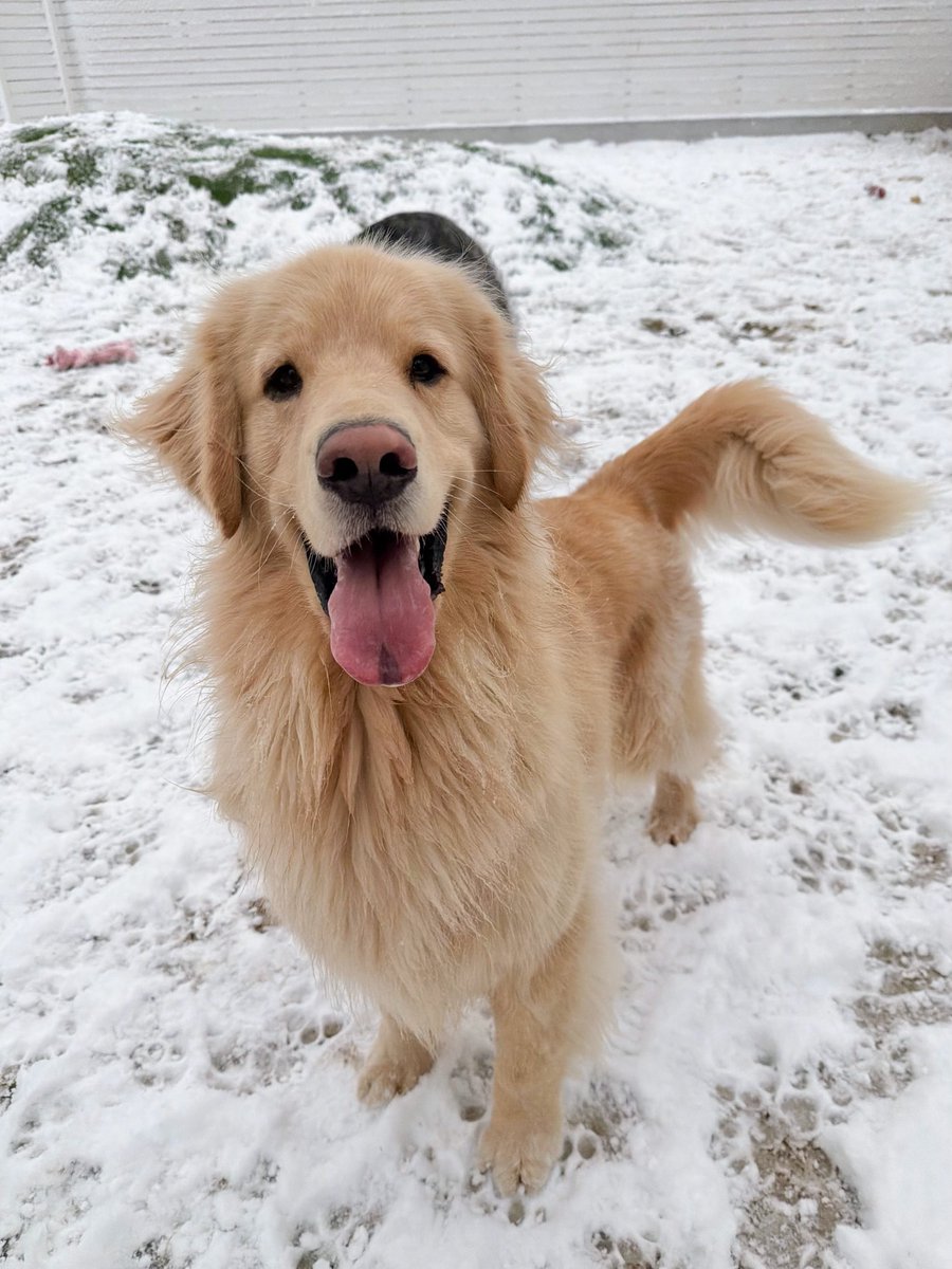 雪のおかげで最高の笑顔みれた❄️