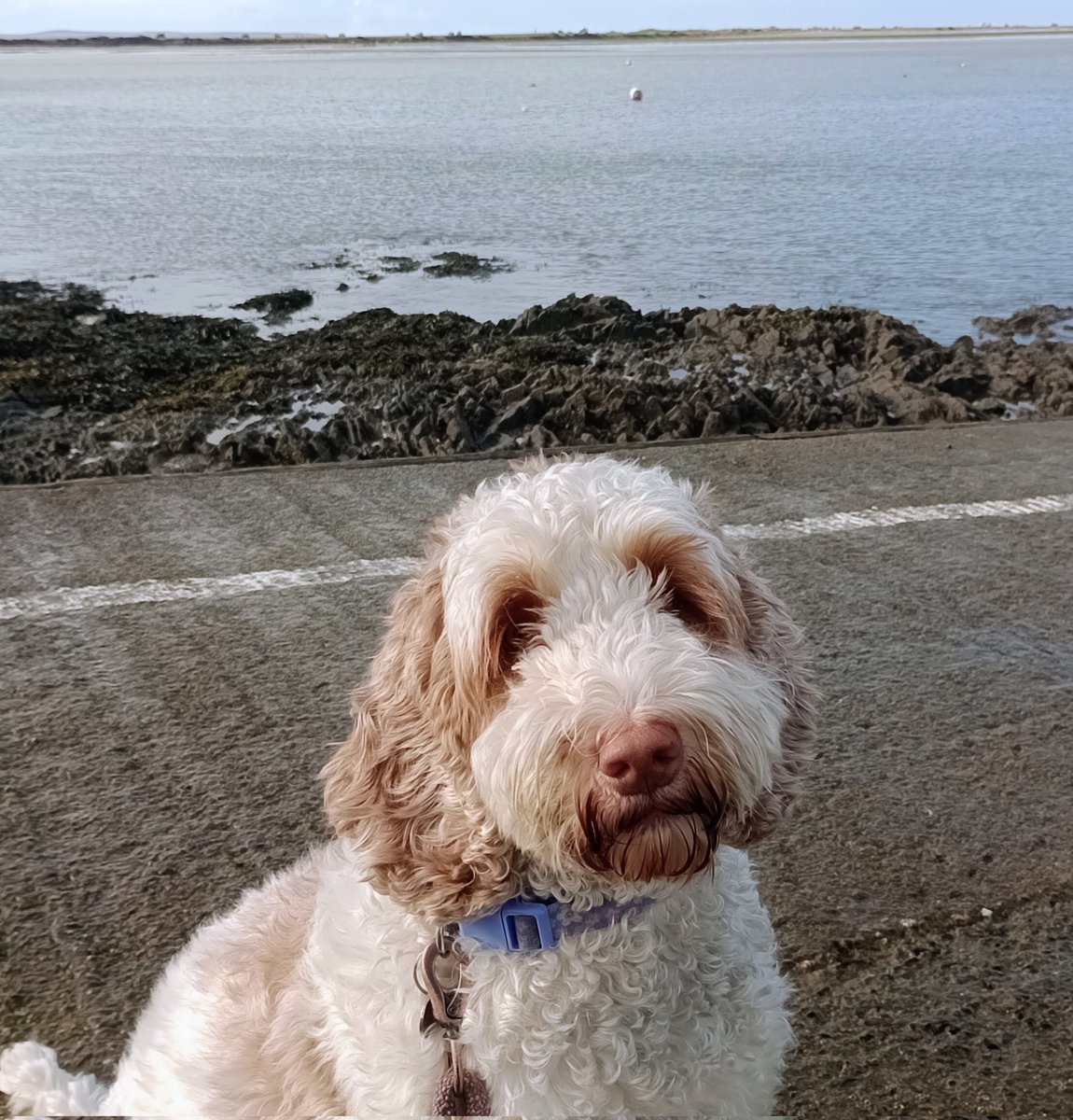 Mark Barden 🇪🇺 tweet media