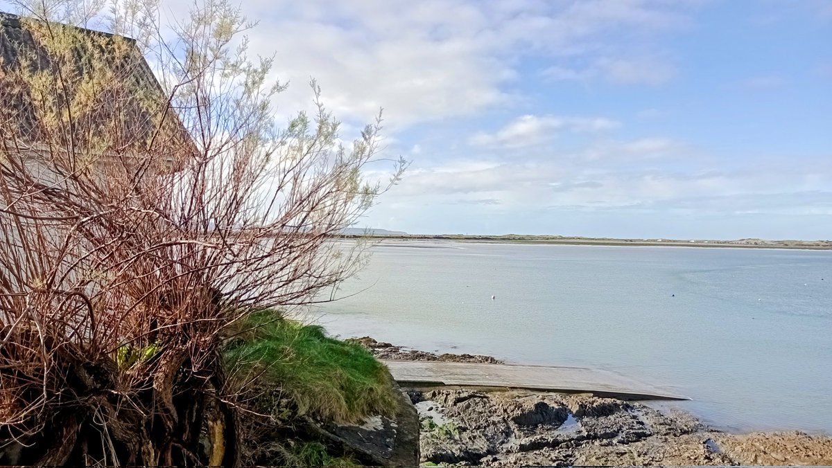 Mark Barden 🇪🇺 tweet media