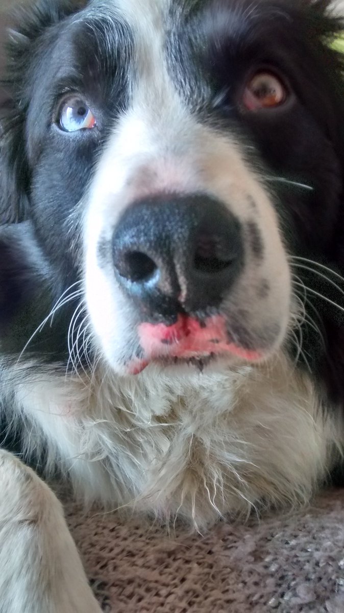 Dee_neez tweet media