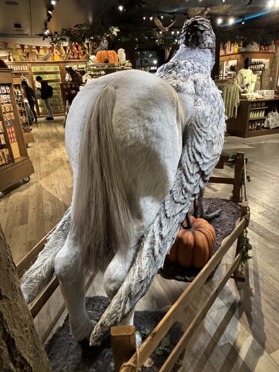 ハリーポッター屋さんにいた馬のお尻の鳥