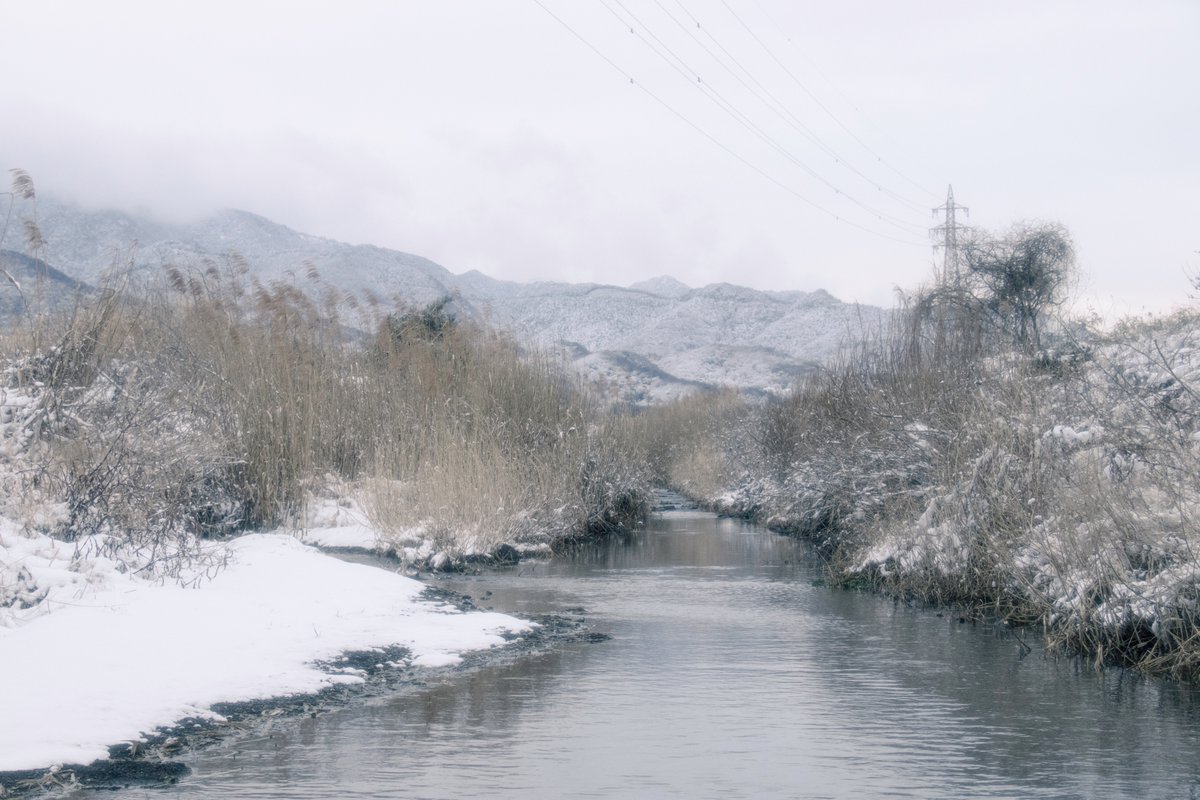 𝙎𝙊𝙉𝘼. tweet media