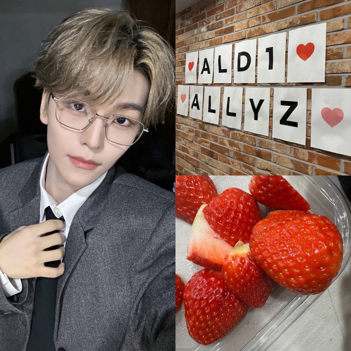 XINLONG JAPAN FB (@XinlongJP) / Posts / X