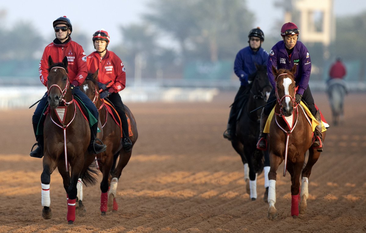 🤩A pair of reigning champions back for more! 🥇2025 Saudi Cup