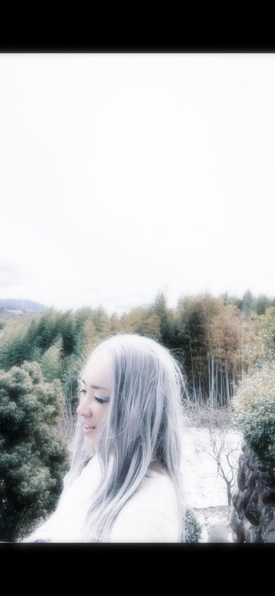 RayKaoree's tweet photo. 雪なし県に珍しく雪降ったから急遽撮影！気温1℃、冷たい花の冷花だから全然寒くないよ…いや、本当はこんな状態でしたーw https://t.co/wOoBetGZBx
