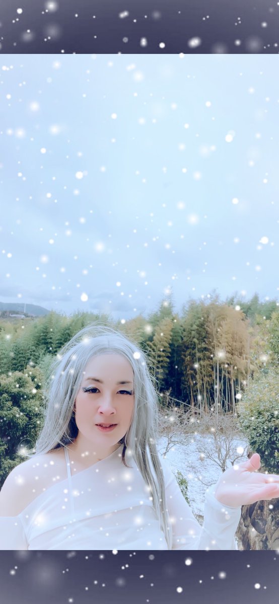 RayKaoree's tweet photo. 雪なし県に珍しく雪降ったから急遽撮影！気温1℃、冷たい花の冷花だから全然寒くないよ…いや、本当はこんな状態でしたーw https://t.co/wOoBetGZBx