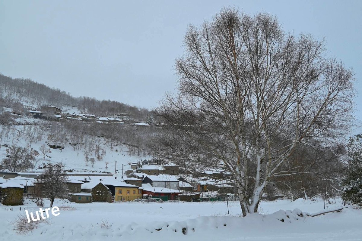 Barjacoba pide ayuda y que se actue ya! ante esta dejadez hacia el pueblo. 
Va a hacer casi un mes sin teléfono!! la televisión viene y va y no hay comunicación. Con el mal tiempo y en pleno siglo XXI. Una vergüenza!
<a href="/movistar_es/">Movistar España</a> #EspañaVaciada #AltaSanabria #Zamora #Barjacoba