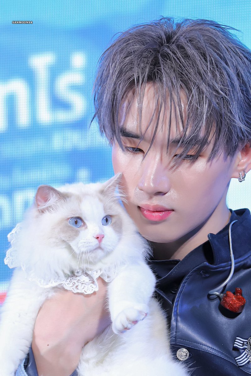 แฝดมากง่ะ 🐱🐱