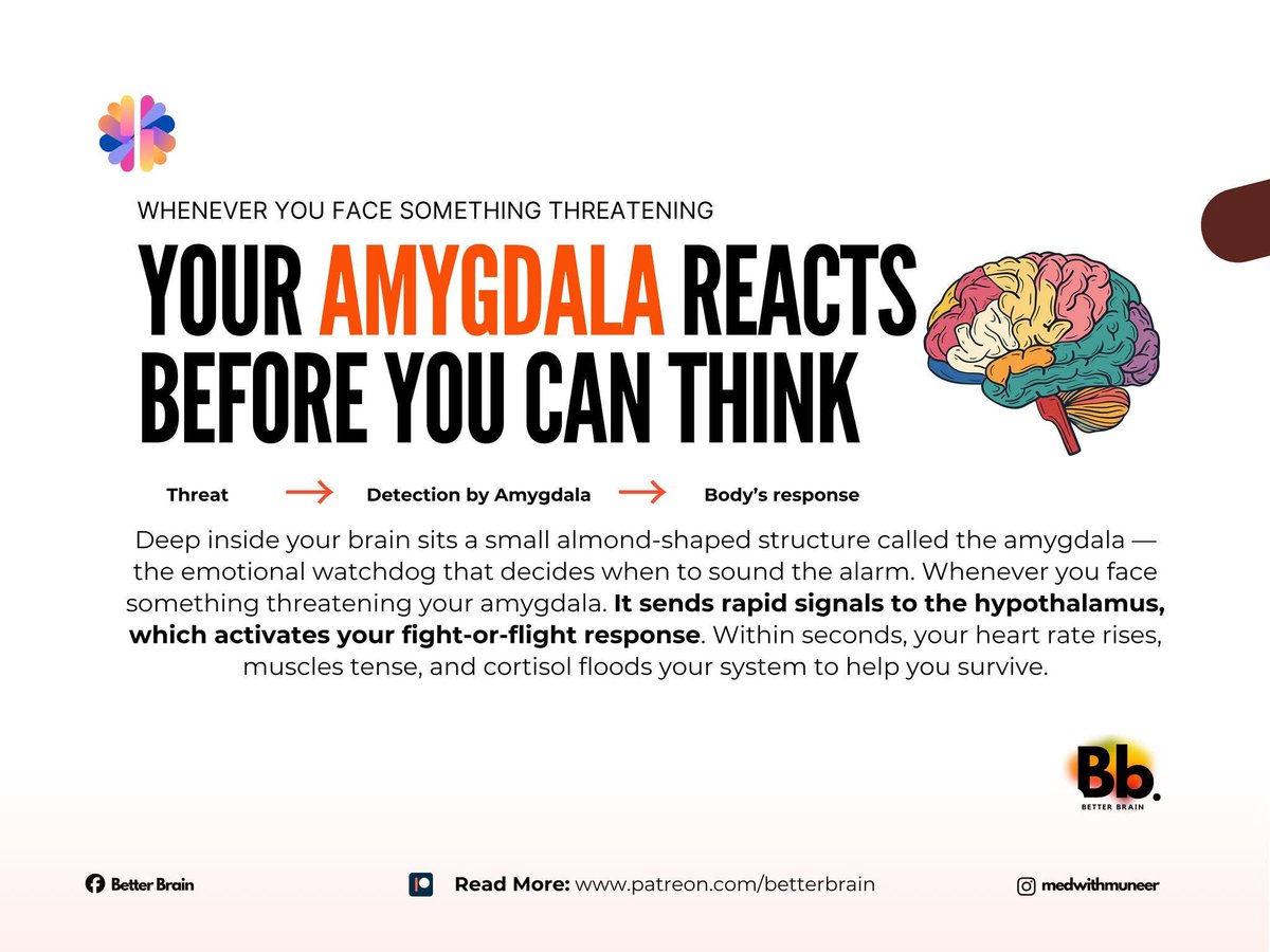 When children are on "high alert," hypervigilant, they have heightened amygdala activity, a brain &amp; body searching for danger.
This is not the time for questioning."Tell me what happened, why, what," as the cortex is not in connection &amp; learning mode.🧠🌱