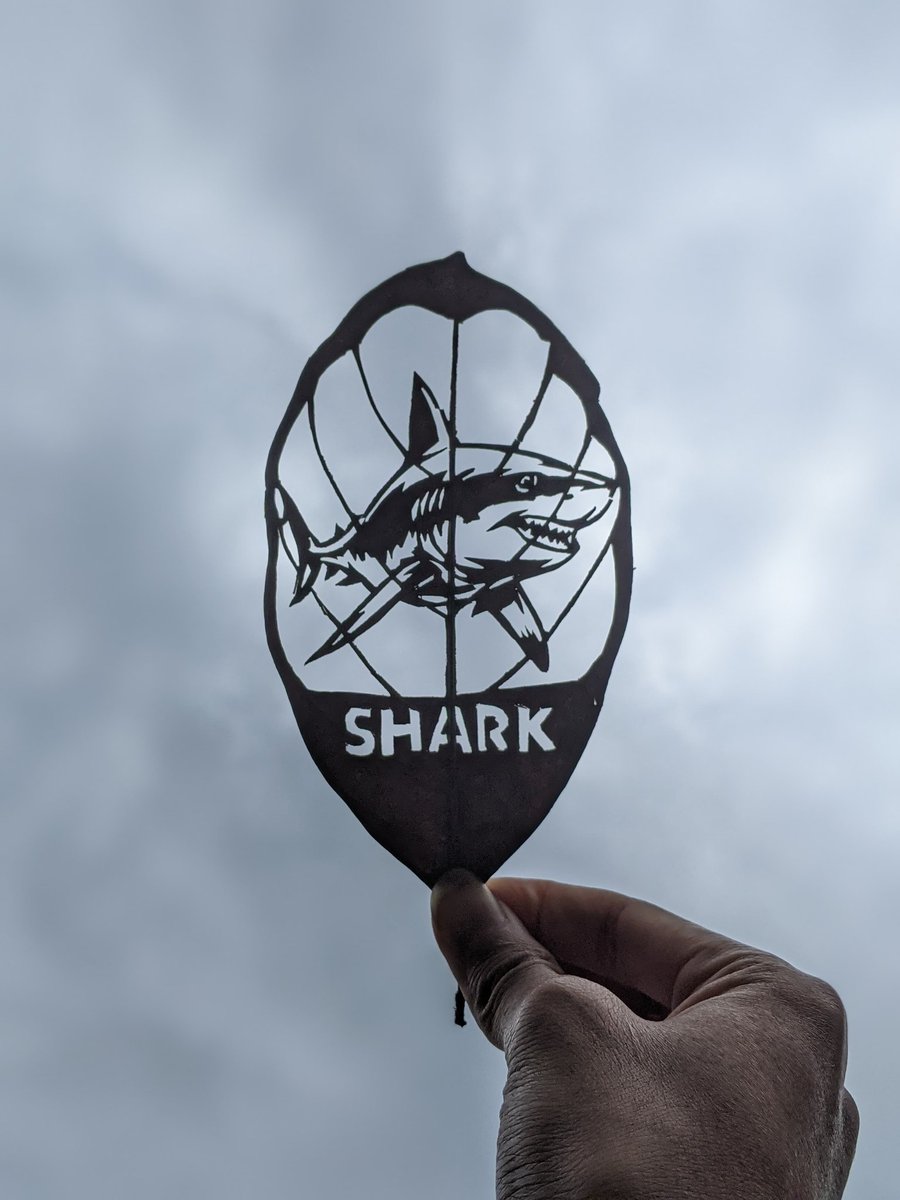 Vaundrafy's tweet image. My creative meme sir @MatthewMetaX ,i made this leaf carving for $SHARK in more than 5 hours