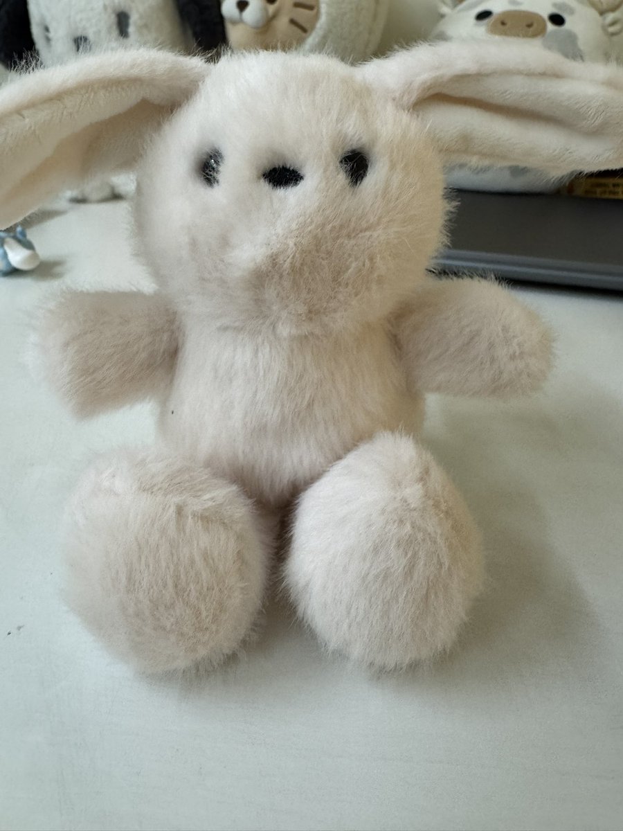 lixirlai's tweet image. meet chocoberry jr. the newest addition to my trinket collection 🤎