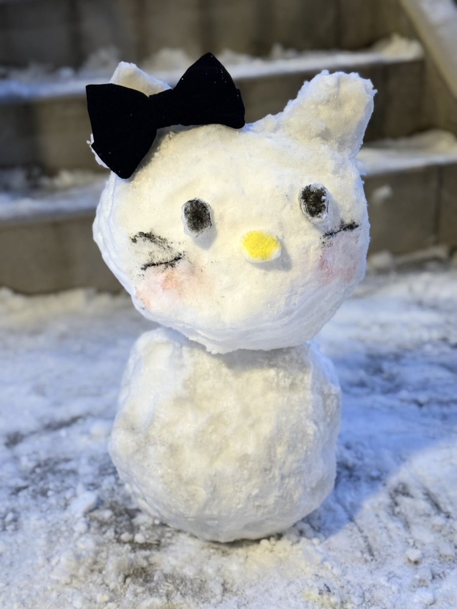 まゆ（運営管理） (@mayu_cocokame) / Posts / X