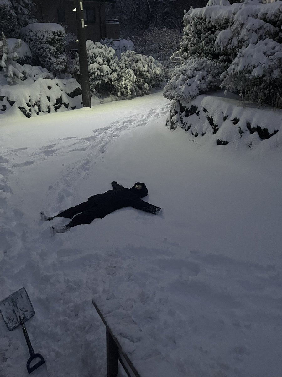 nuenuko0109's tweet photo. 積雪20センチ超えたんで流石に明日は臨時休業します。
雪かき終わりません。 https://t.co/tlGf7dQ0KU
