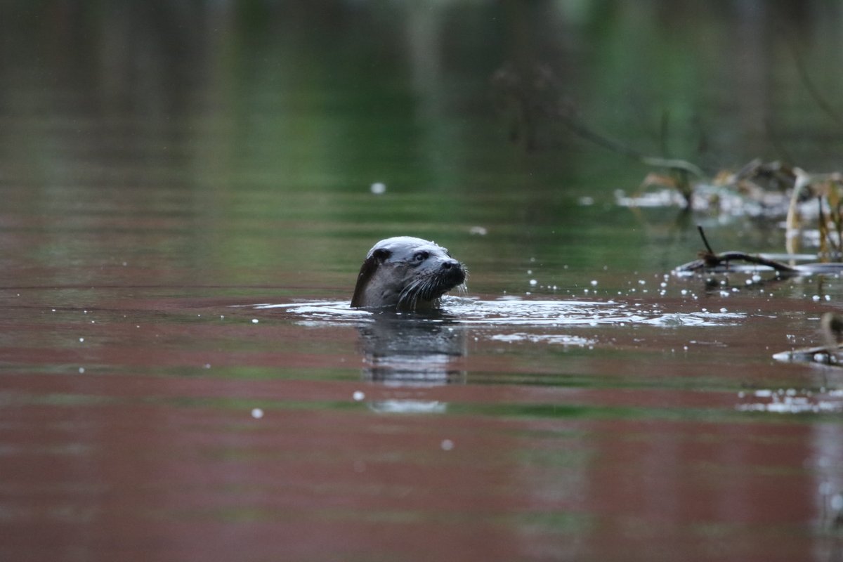 Dr Simon Pickering tweet media