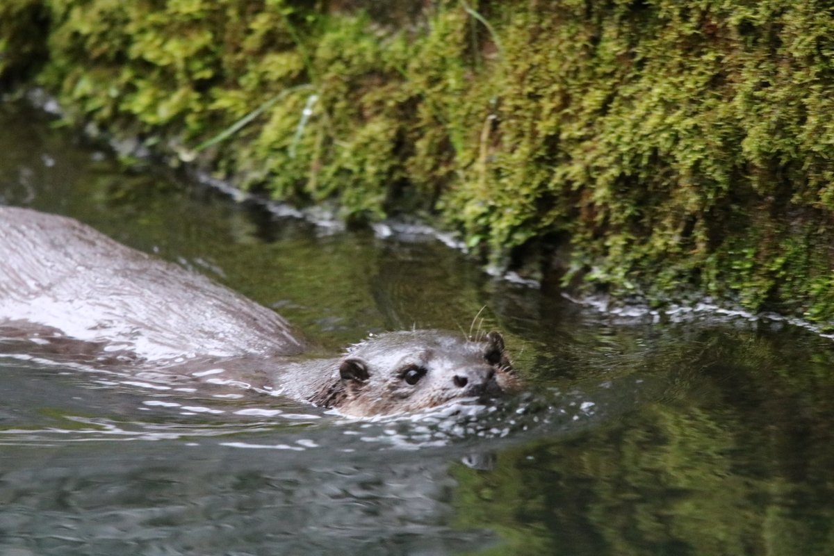 Dr Simon Pickering (@simonpic78) on Twitter photo 