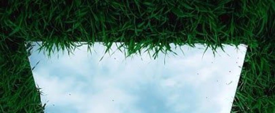 لا تدخل على الصوره.