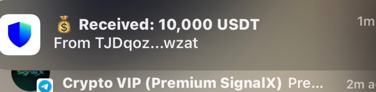 BEEBRAIN tweet media