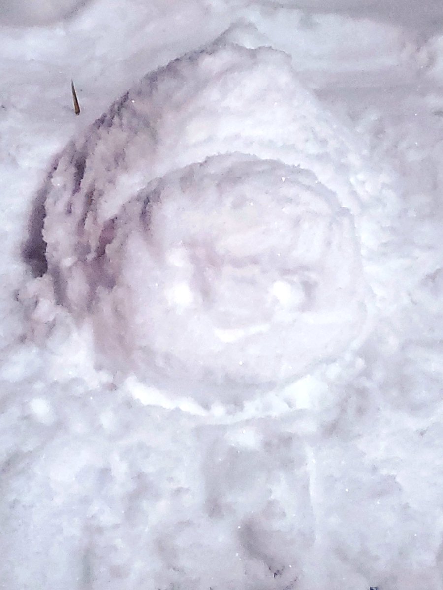 🐢すやすやすわーむ(eepyet) tweet media