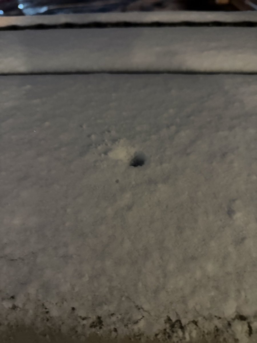 ぱこーん.com tweet media