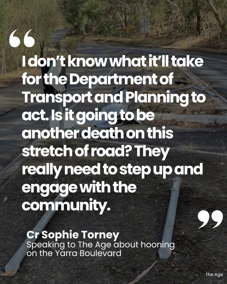 Sophie Torney tweet media