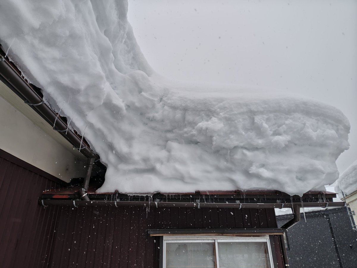 今日は祖父母の家の雪掘りした
今は誰も住んでないけどほっとく訳にもいかないので、最低限の周りと（1枚目）、カーポートと小屋根の雪下ろしした（2枚目）。見上げると大屋根にも1m以上積もってたけど（3枚目）時間ないのでまた来週