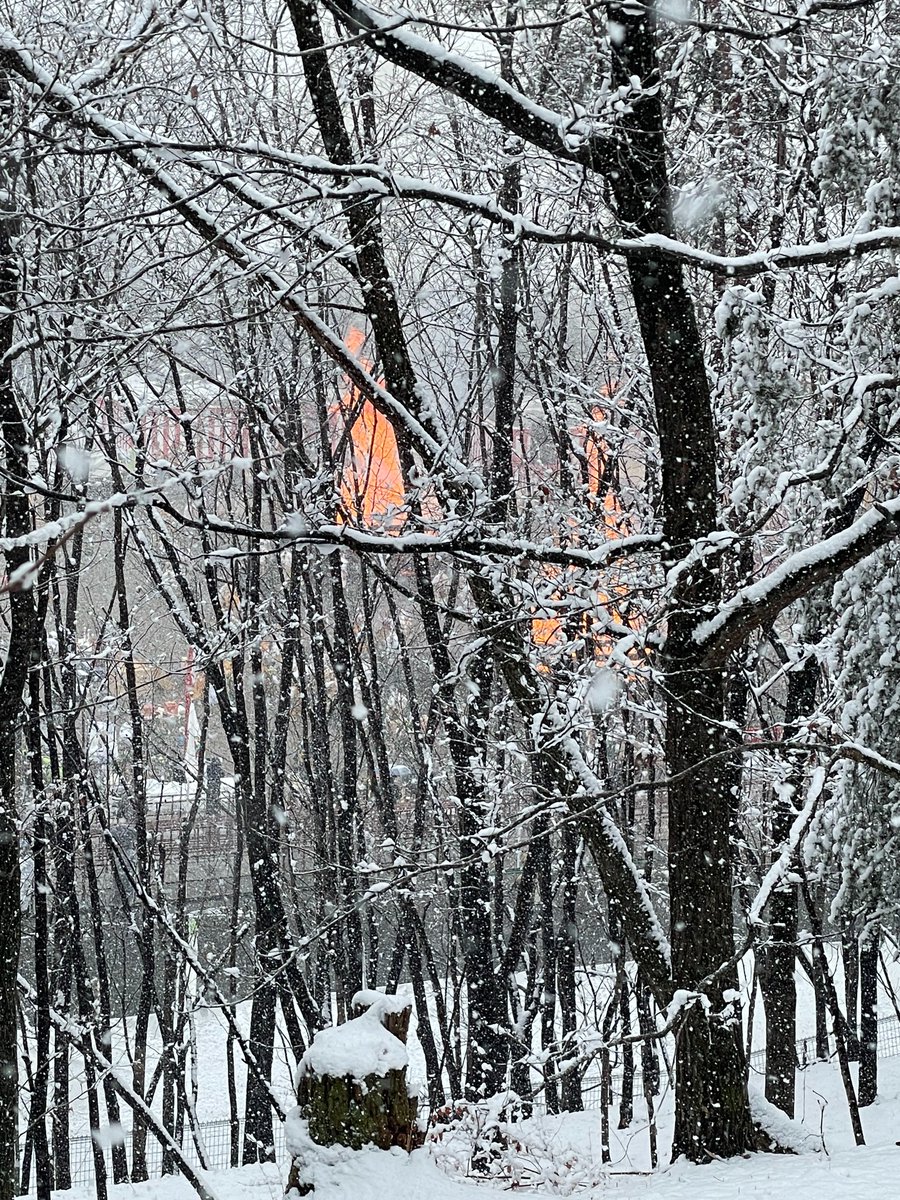 reincarnating hydra tweet media