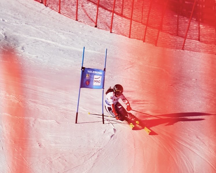 Jasmin Taylor tweet media