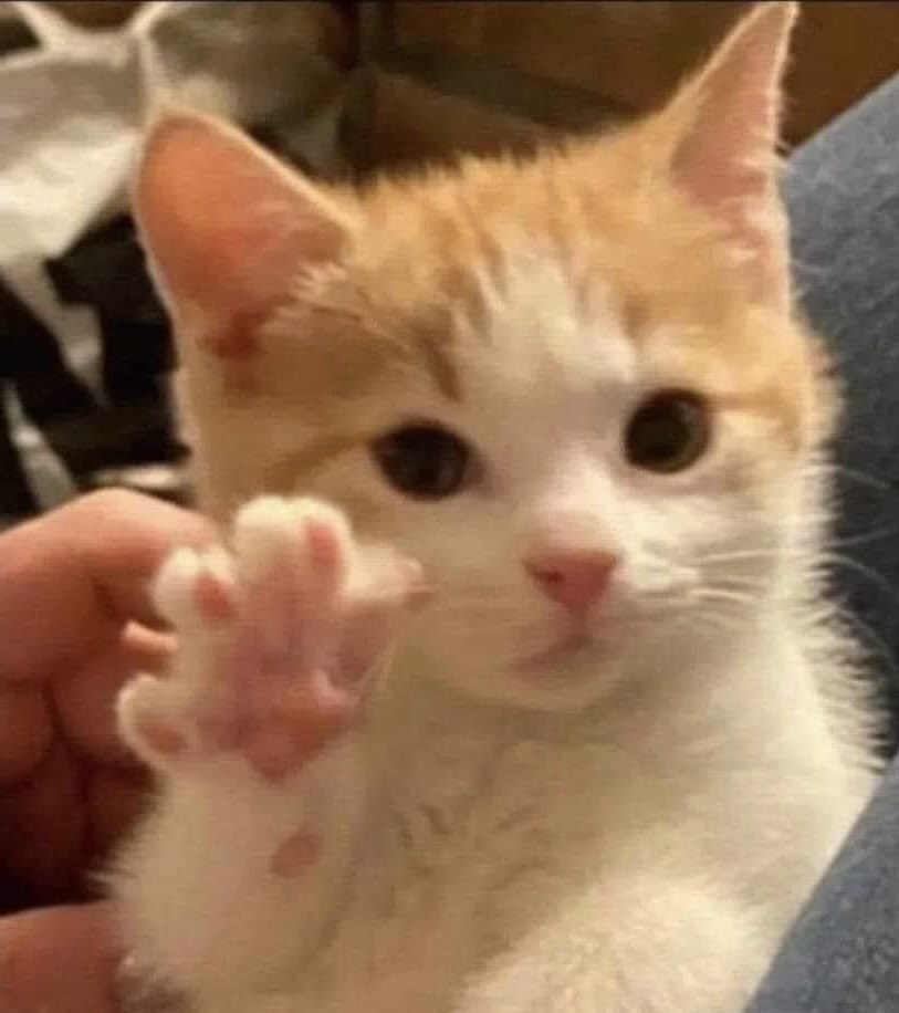 dimplesan (@sannasws) on Twitter photo 