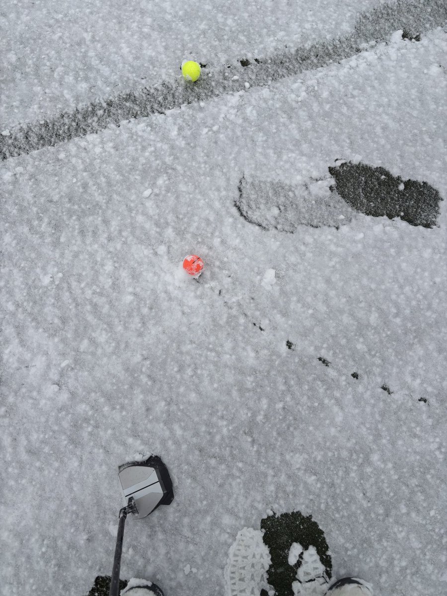 ぶちこみさん🤦‍♂️県南の黒豹(釣りガール🏃‍♀️) tweet media