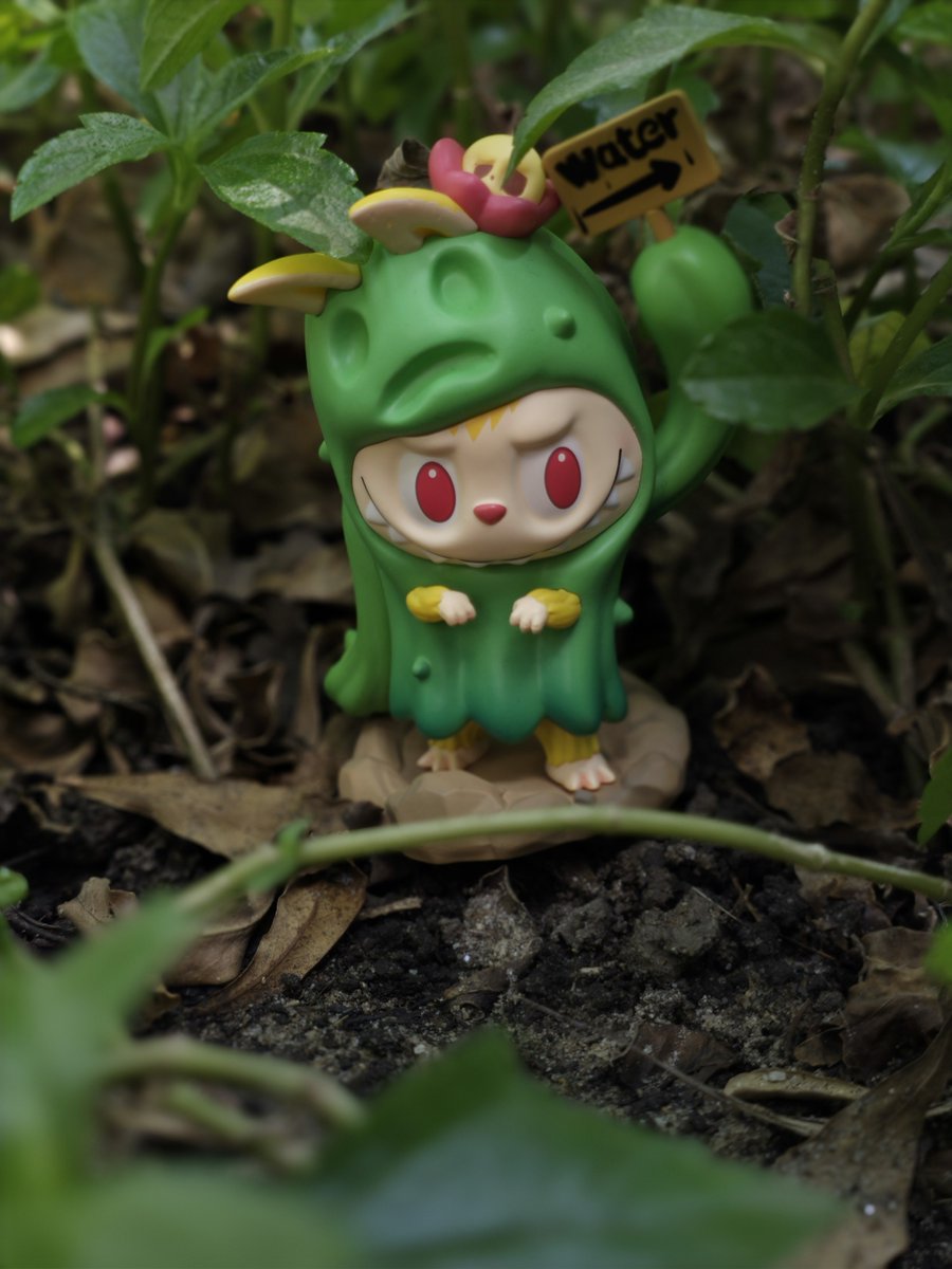 Wvisioncreation's tweet photo. Galaxy S25 Ultra | 2x• 46mm, No edit 
#ShotOnSnapdragon #februaryframes https://t.co/eUVfLxfv4w