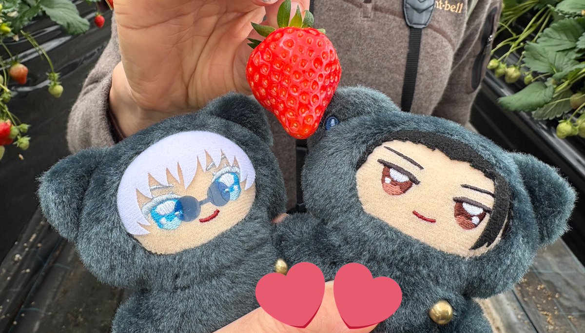 このクソ寒い雪の中、いちご狩りに行った記録