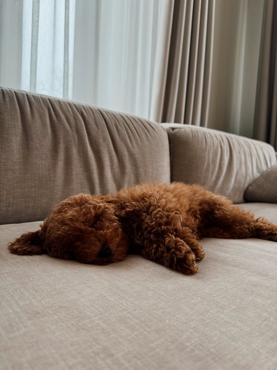 Atpūsties un paēst 🫡🫡🫡 https://t.co/oW23aNKIuR