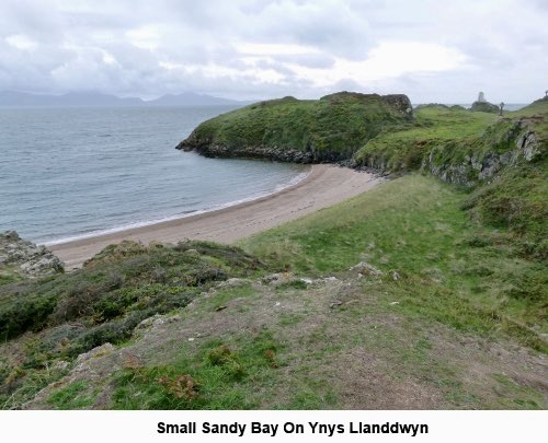 IamHappyHiker's tweet photo. Thinking ahead to holidays, I think I need to revisit #Anglesea. Previously enjoyed this walk to LLanddwyn Island, a tranquil, beautiful, atmospheric place. It is home to a wide variety of flora and sea birds and has a number of interesting features. See https://t.co/XkMSkwIgS4 https://t.co/aTnlxPinly