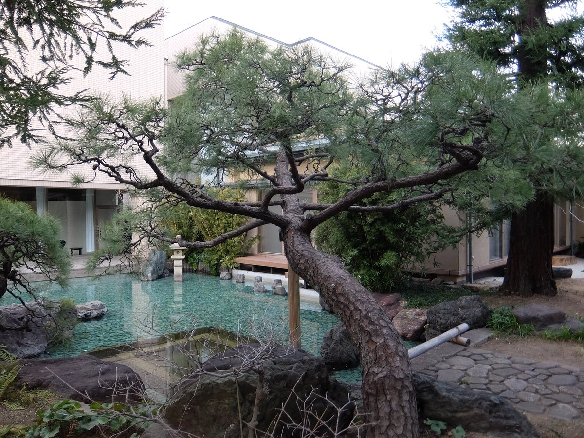 かずまる024 (@kaz_maruru024) / Posts / X