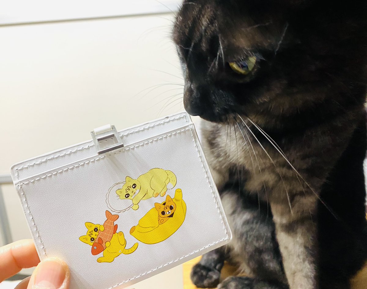 ロイヤルカナン (@RoyalCaninJP) / Posts / X