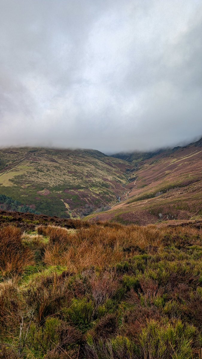 Sarah Lister tweet media