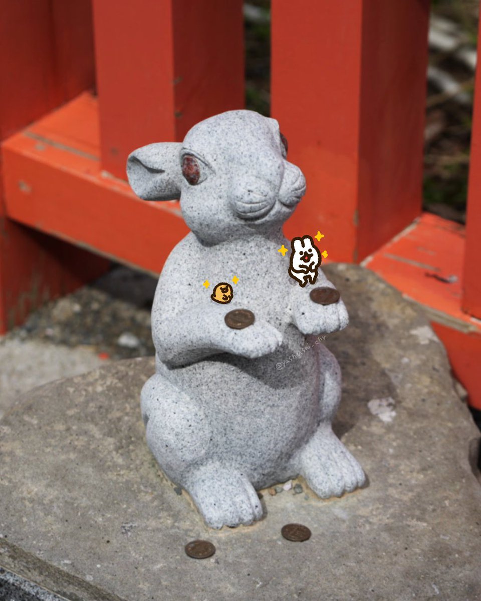 1️⃣😎✈️🏖️🧳🐰 #うさぎ #旅行