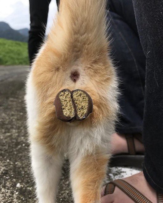 iknow_iamcute's tweet image. 